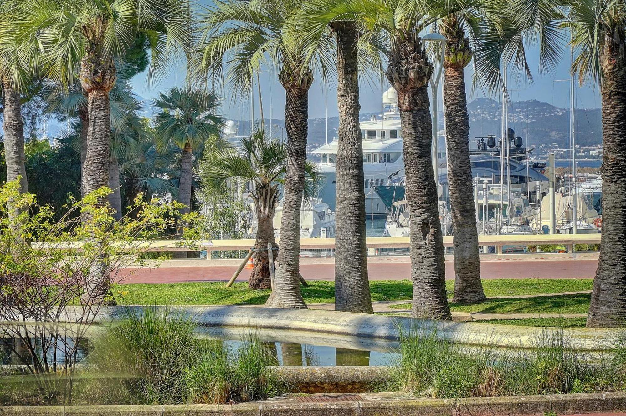 Le Palm - 100M Plage - Croisette - Verriere Cote D'Azur Cannes Extérieur photo