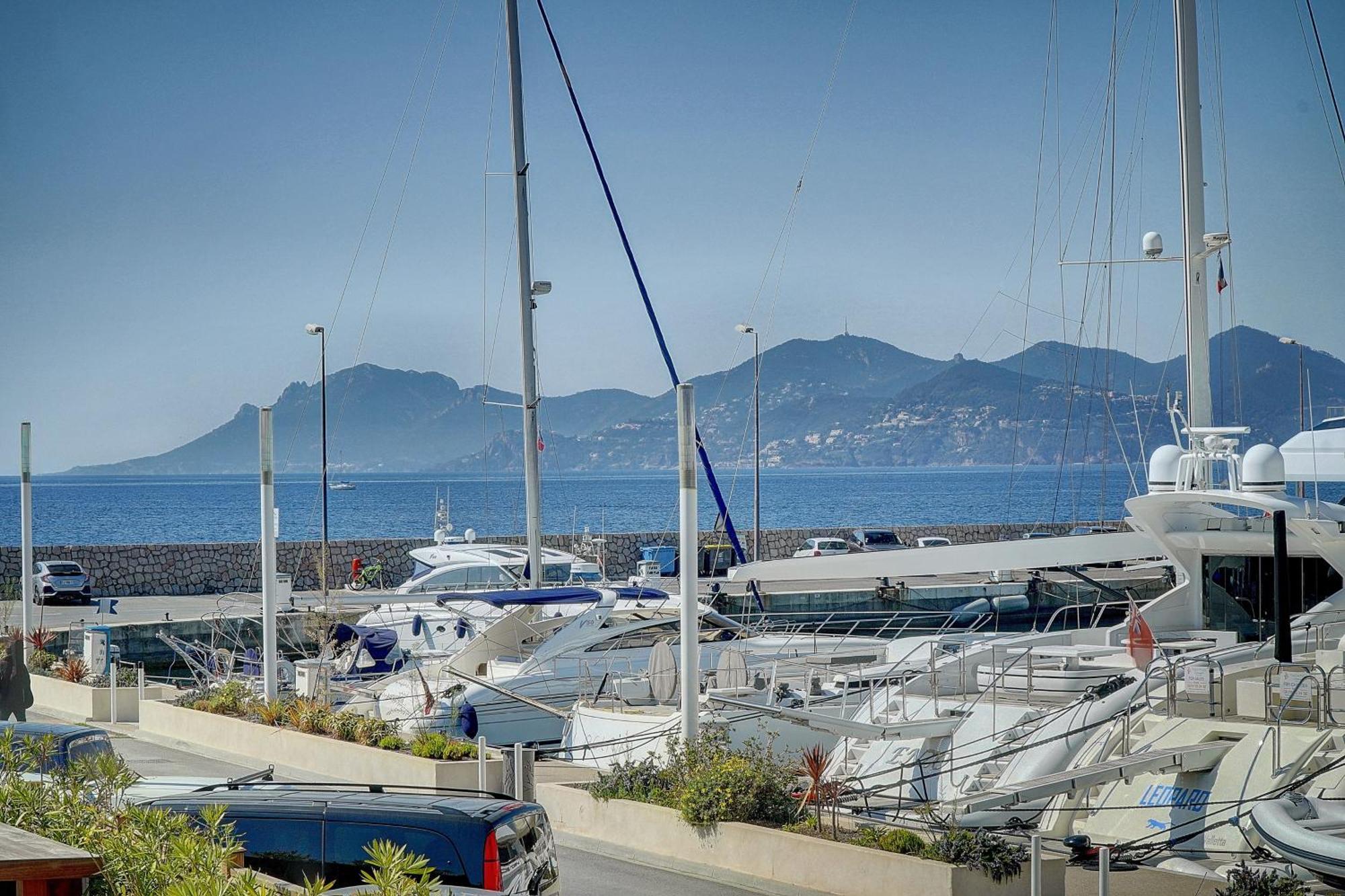 Le Palm - 100M Plage - Croisette - Verriere Cote D'Azur Cannes Extérieur photo